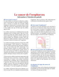 Le cancer de l`oropharynx