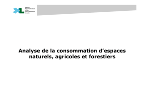Analyse de la consommation d`espaces naturels, agricoles et