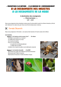 Elémentaire - à la découverte des insectes - Ville d`Aulnay-sous-bois