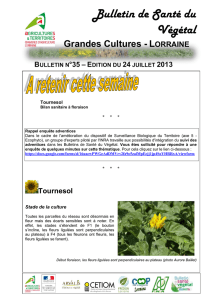Bulletin de Santé du Végétal - ARVALIS
