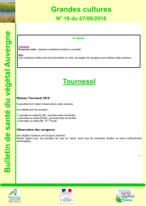 BSV n°19 - 7 juin 2016 - Chambre d`Agriculture du Puy-de-Dôme