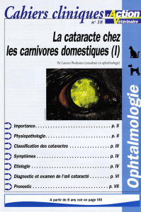 Cataracte chez les carnivores domestiques