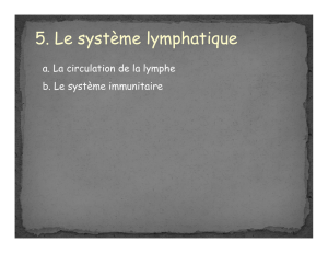 Lymphe et système immunitaire