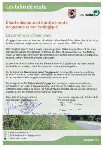 Charte de la commune d`Avenches (4.6 MiB)
