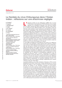 La flambée du virus Chikungunya dans l`Océan indien : réflexions