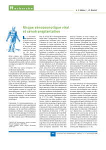 Risque xénozoonotique viral et xénotransplantation
