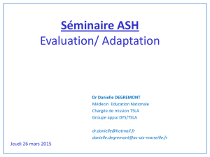 Evaluation/ adaptation