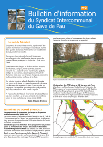 Bulletin d`informations n°3 - Syndicat Intercommunal du Gave de Pau