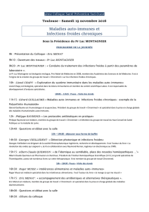 colloque-toulouse-19-11-16-programme