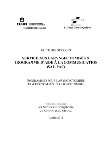 Service aux laryngectomisés, Programme d`aide