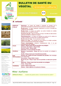 bulletin de santé du végétal - Chambre d`Agriculture du Gers
