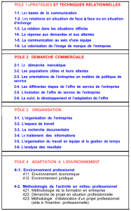 POLE 1 : PRATIQUES ET TECHNIQUES RELATIONNELLES 1