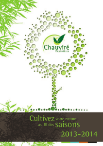 ACER platanoides - Pépinières Chauviré