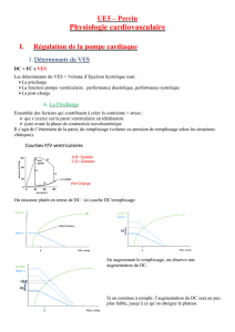 p2-ue5-perrin-physiologie-cardiovasculaire-1-pdf