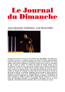 Jean-Quentin Châtelain, vrai Gros