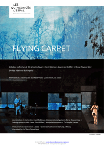 flying carpet - Serge Teyssot-Gay