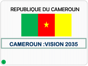 cameroun: vision 2035