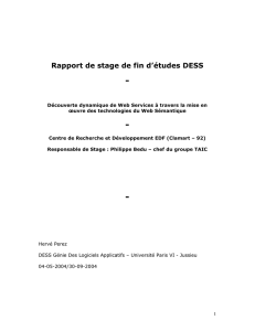 Rapport de stage de fin d`études DESS