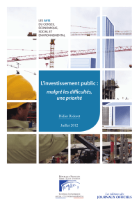 L`investissement public