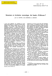 Structure et évolution tectonique du bassin d`Alboran