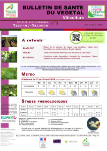 Bulletin de santé du végétal n°3 du 12/04/2016