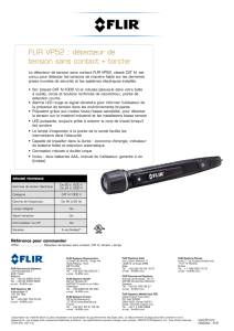 FLIR VP52 : détecteur de tension sans contact + torche