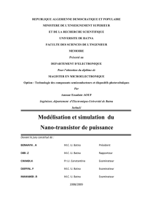 Modélisation et simulation du Nano