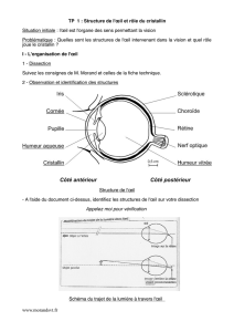TP 1 : Structure de l`œil et rôle du cristallin Situation initiale : l`œil est