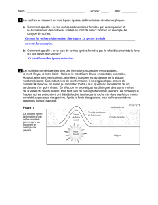 Ce sont les roches sédimentaires détritiques. Le grès et le shale en