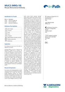 MUC2 (MRQ-18) - Menarini Diagnostics