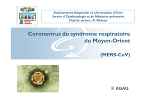 Coronavirus du syndrome respiratoire du Moyen-Orient