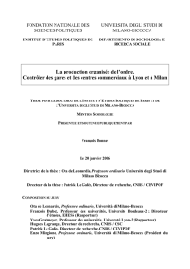 (1,5 mo) / the dissertation`s pdf file