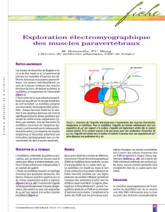 Exploration électromyographique des muscles paravertébraux