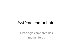 S.Immunit. compare
