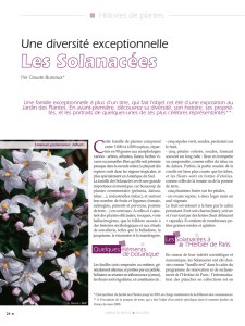 Pour lire la suite, TELECHARGEZ L`ARTICLE EN PDF