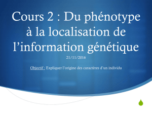 Cours 2 : Du phénotype à la localisation de l`information génétique