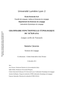 Grammaire fonctionnelle-typologique du ye`kwana