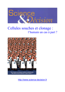 Cellules souches et clonage : l`humain, un cas à part