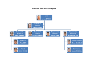 Structure de la Mini Entreprise PDG - lp