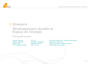 Glossaire Développement durable et Enjeux de l`énergie Français