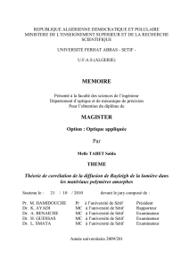 Diffusion de la lumière et les méthodes numériques de traitement