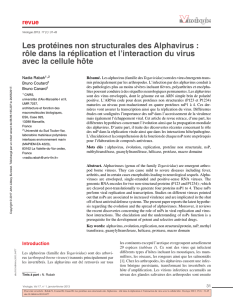Les protéines non structurales des Alphavirus : rôle dans la