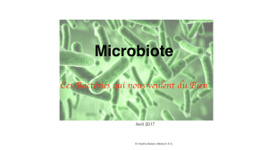 Diaporama microbiote