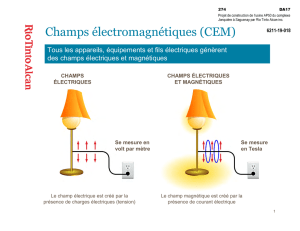 Champs électromagnétiques (CEM)