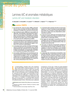 Lamines A/C et anomalies métaboliques - Lamins A/C