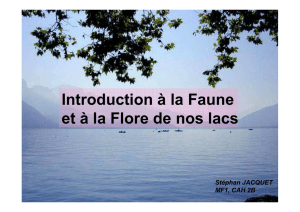 Introduction à la Faune et à la Flore de nos lacs