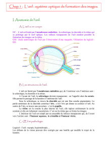 Chap.1 : L`œil : système optique de formation des images. - SOS-SVT