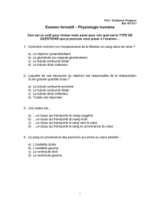 Examen formatif – Physiologie végétale
