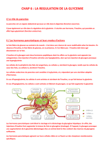 chap 6 : la regulation de la glycemie