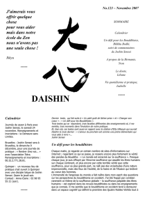 daishin - la DEMEURE sans limites